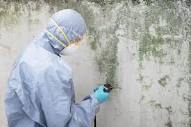 Best Mold Remediation for Healthcare Facilities  in White Pigeon, MI